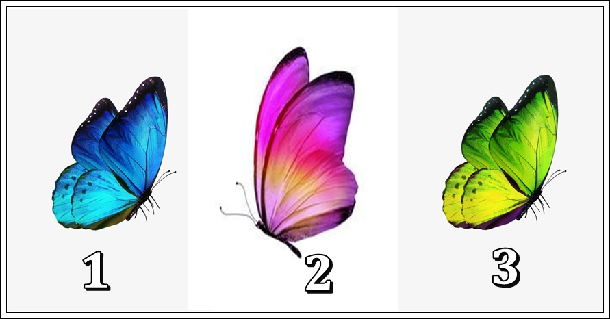 Izaberi leptira i saznaces  sta ti donosi 2022. godina!