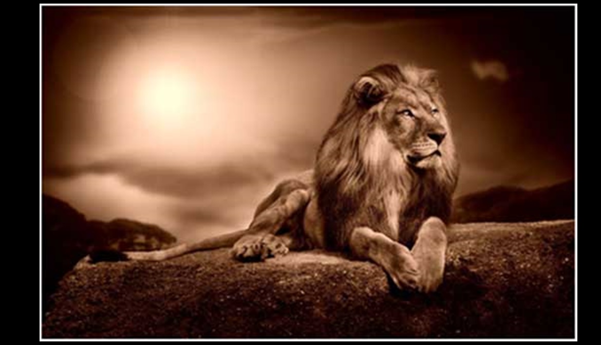 Lav covek koji je jaci od svega pa cak i od sudbine.