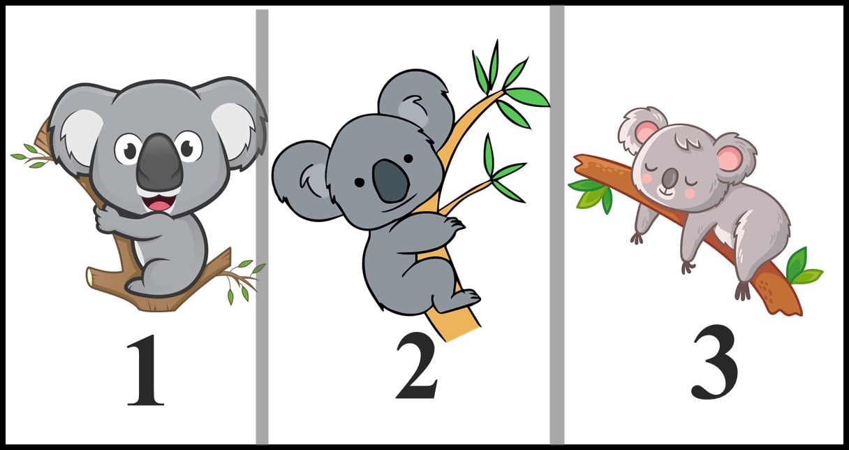 Srecni slonici: Svaki od  njih donosi po jednu lepu vest –  izaberi jednog!