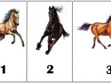 Izaberi jednog konja:Test licnosti koji