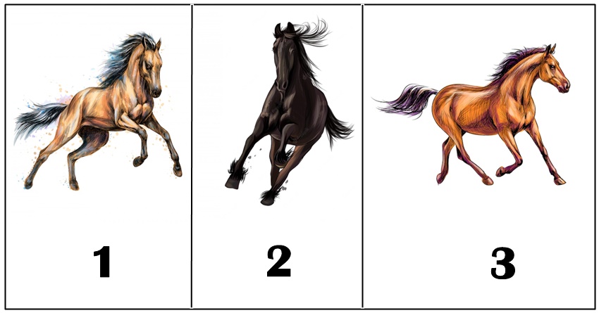 Izaberi jednog konja:Test licnosti koji nikoga nece ostaviti ravnodusnim!